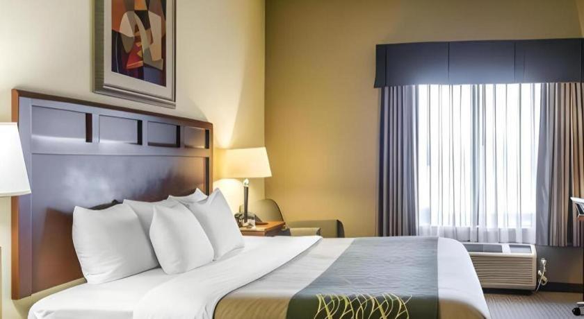 Comfort Inn & Suites Madisonville Luaran gambar
